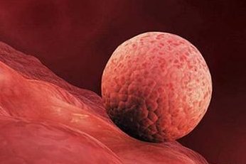 2026二婚生二胎新政策出炉，有没有补助、福利一看便知