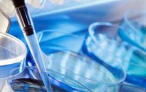 41岁试管养囊还是不养更好让胚胎着床？