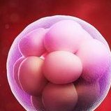 57岁超高龄做试管婴儿成功案例分析，依然还有月经是前提