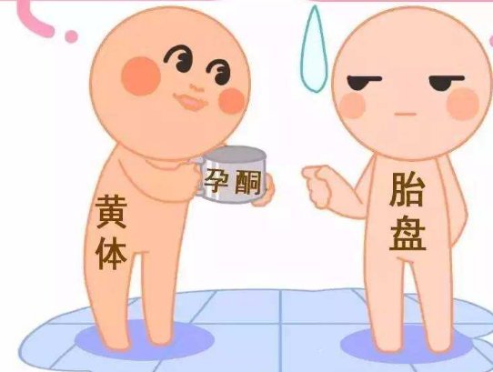 龙岩哪些医院试管婴儿的成功率比较高？治疗流程是怎么样的？