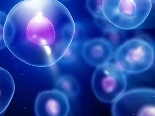 安徽试管婴儿医院的成功率如何？费用大概是多少？