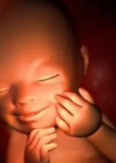 三级胚胎移植成功率有多大？三级胚胎移植成功后胎儿健康吗？